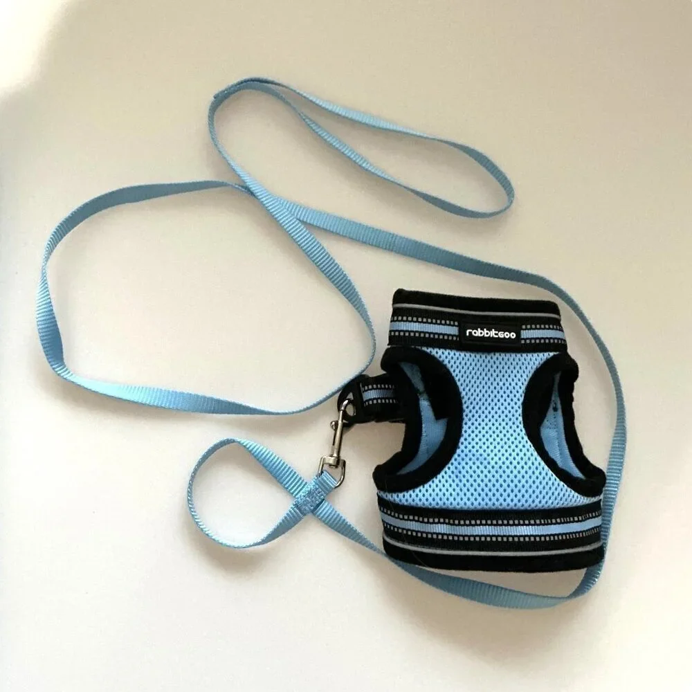 CAT HARNESS AND LEASH SET ADJUSTABLE BLUE MEDIUM